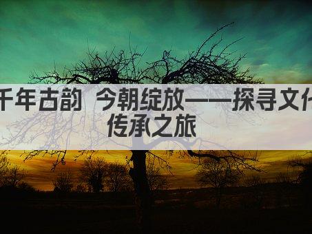 千年古韵 今朝绽放——探寻文化传承之旅 