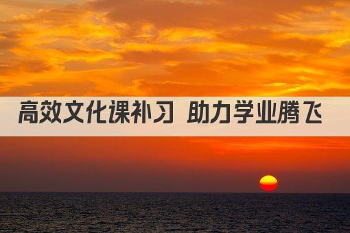 高效文化课补习 助力学子一飞冲天 