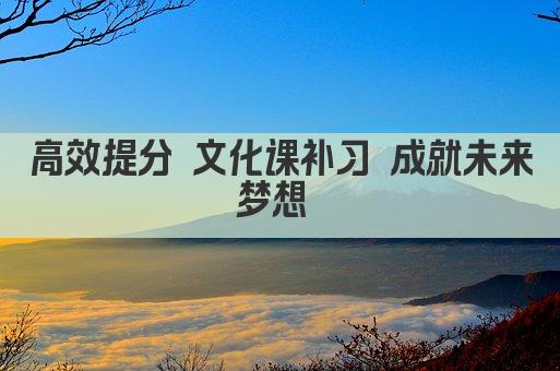 高效提分 文化课补习 成就未来  