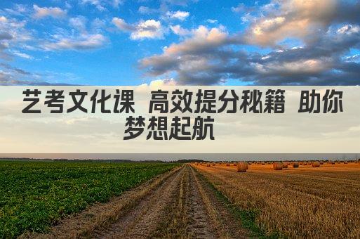 艺考文化课 高效提分秘籍 助你梦想起航  