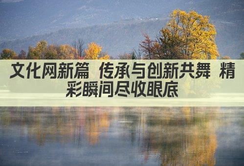 文化网新篇 传承与创新共舞 精彩瞬间尽收眼底