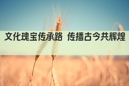 文化瑰宝传承路 传播古今共辉煌 