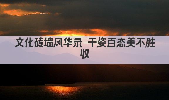 文化砖墙风华录 千姿百态美不胜收