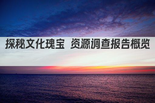 探秘文化瑰宝 资源调查报告概览 
