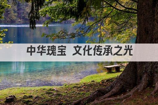 中华瑰宝 文化传承之光