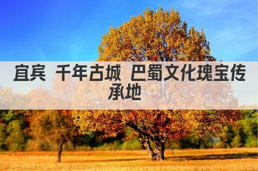 宜宾 千年古城 巴蜀文化瑰宝传承地 