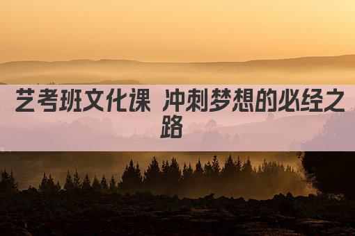 艺考班文化课 冲刺梦想的必经之路 