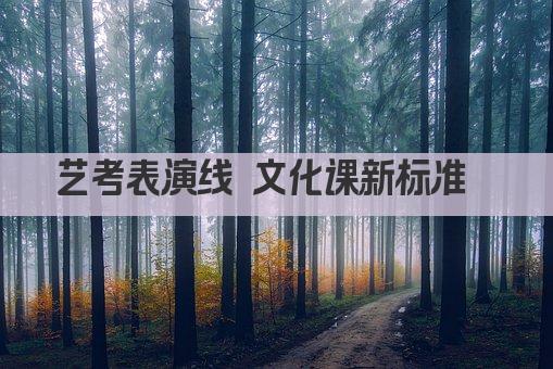艺考表演线 文化课新标准  