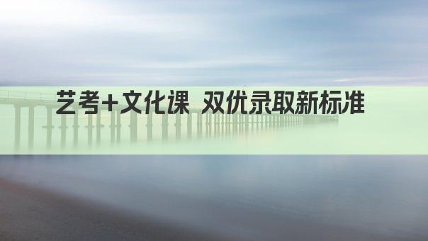 艺考+文化课 双优录取新标准  