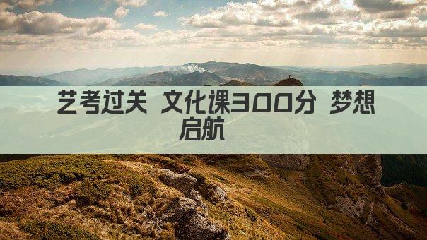 艺考过关 文化课300分 梦想启航  