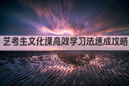 艺考生文化课高效学习法速成攻略