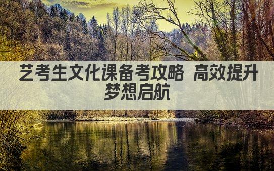 艺考生文化课备考攻略 高效提升 梦想启航 