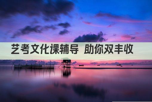 艺考文化课辅导 助你双丰收  