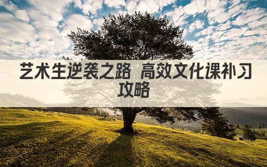 艺术生逆袭之路 高效文化课补习攻略