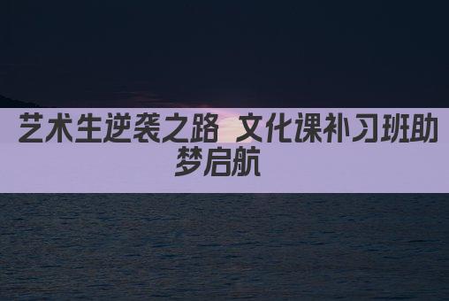 艺术生逆袭之路 文化课补习班助梦启航 