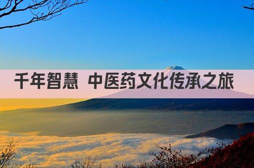 千年智慧 中医药文化传承之旅 