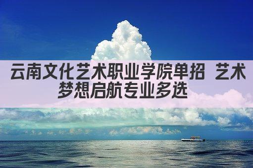 云南文化艺术职业学院单招 艺术梦想启航专业多选 