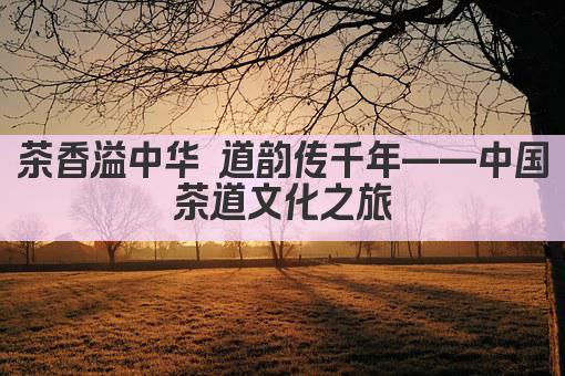 茶香溢中华 道韵传千年——中国茶道文化之旅