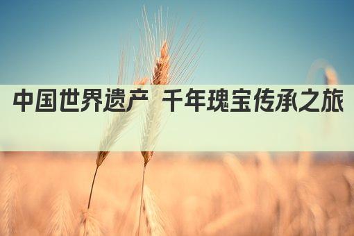 中国世界遗产 千年瑰宝传承之旅 