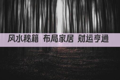 风水秘籍 布局家居 财运亨通 