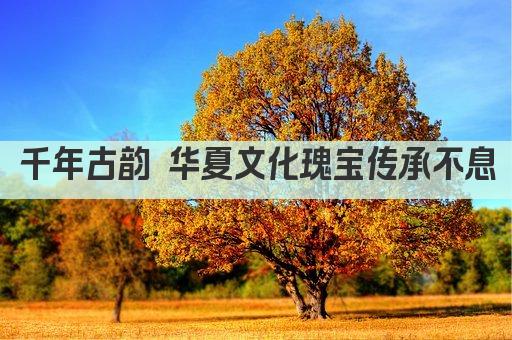 千年古韵 华夏文化瑰宝传承不息