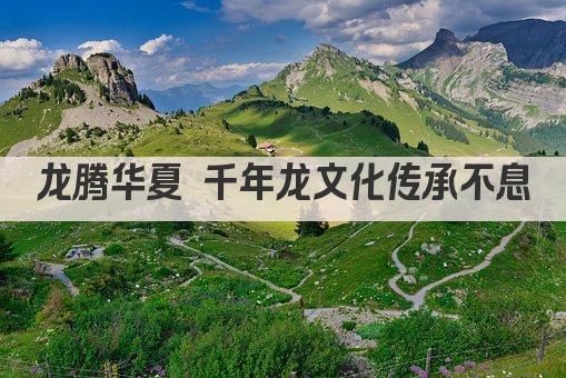 龙腾华夏 千年龙文化传承不息