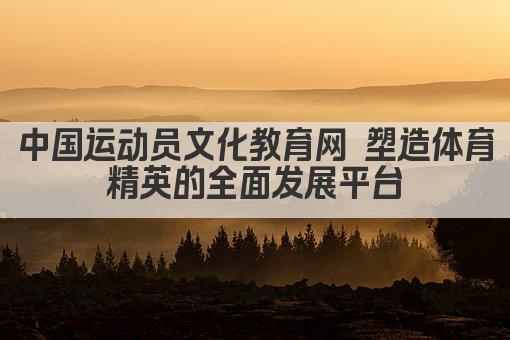 中国运动员文化教育网 塑造体育精英的全面发展平台