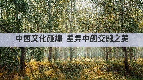 中西文化碰撞 差异中的交融之美