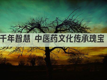 千年智慧 中医药文化传承瑰宝 