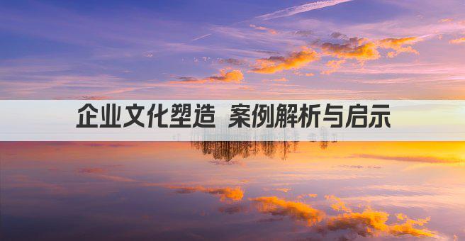 企业文化塑造 案例解析与启示