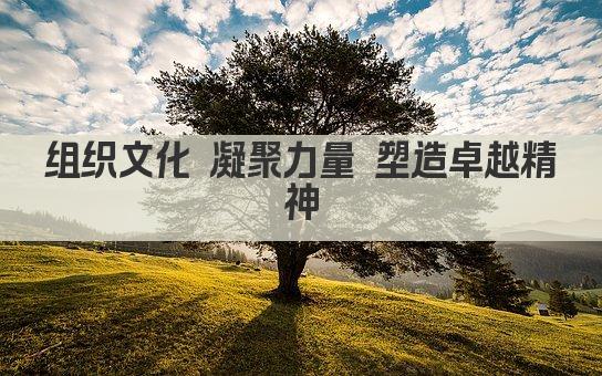 组织文化 凝聚力量 塑造卓越精神