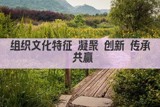 组织文化特征 凝聚 创新 传承 共赢