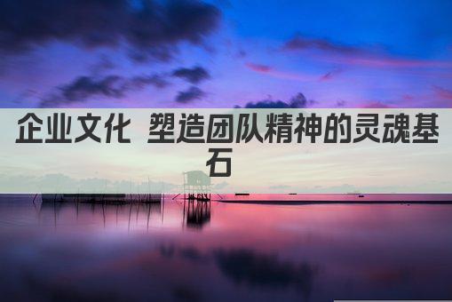 企业文化 塑造团队精神的灵魂基石 