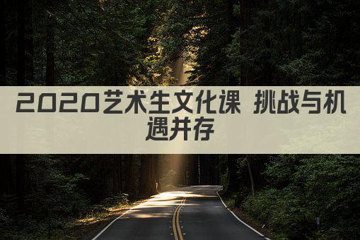 2020艺术生文化课 挑战与机遇并存