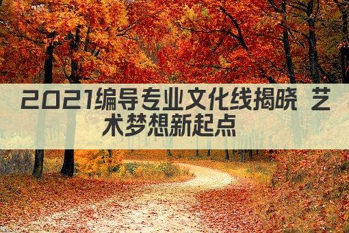 2021编导专业文化线揭晓 艺术梦想新起点 