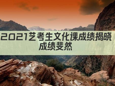 2021艺考生文化课成绩揭晓 成绩斐然 