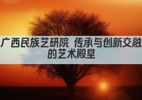 广西民族艺研院 传承与创新交融的艺术殿堂