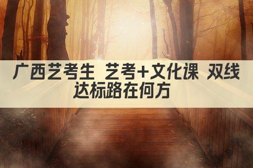 广西艺考生 艺考+文化课 双线达标路在何方 