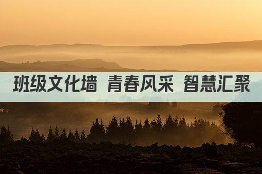 班级文化墙 青春风采 智慧汇聚