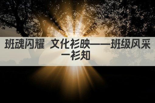 班魂闪耀 文化衫映——班级风采一衫知 