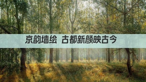 京韵墙绘 古都新颜映古今 