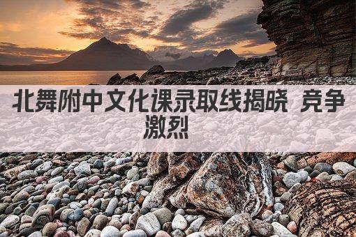 北舞附中文化课录取线揭晓 竞争激烈  