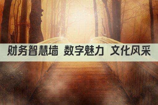 财务智慧墙 数字魅力 文化风采