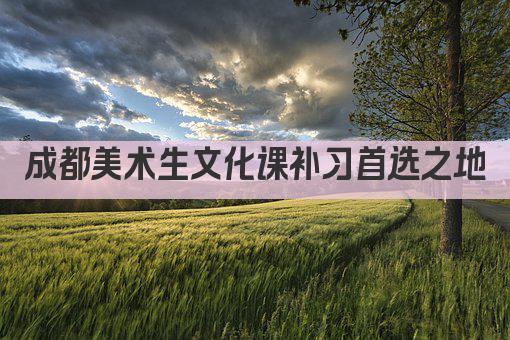 成都美术生文化课补习首选之地