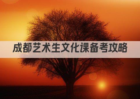 成都艺术生文化课备考攻略
