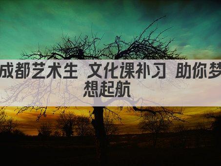 成都艺术生 文化课补习 助你梦想起航 