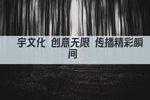宸宇文化 创意无限 传播精彩瞬间 