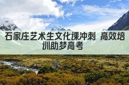 石家庄艺术生文化课冲刺 高效培训助梦高考 