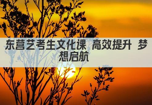 东营艺考生文化课 高效提升 梦想启航 