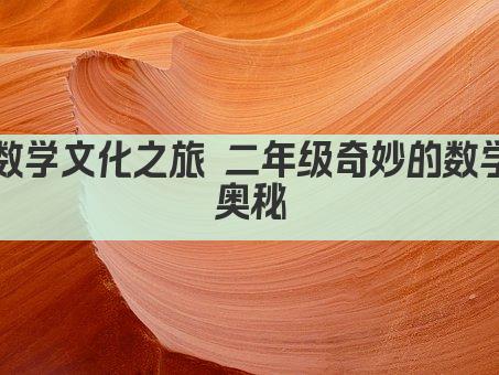 数学文化之旅 二年级奇妙的数学奥秘